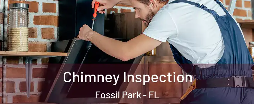Chimney Inspection Fossil Park - FL