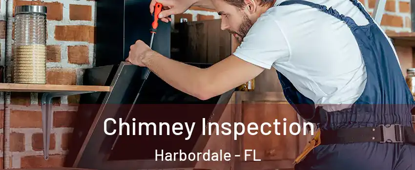 Chimney Inspection Harbordale - FL