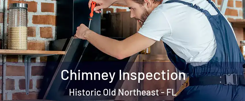 Chimney Inspection Historic Old Northeast - FL