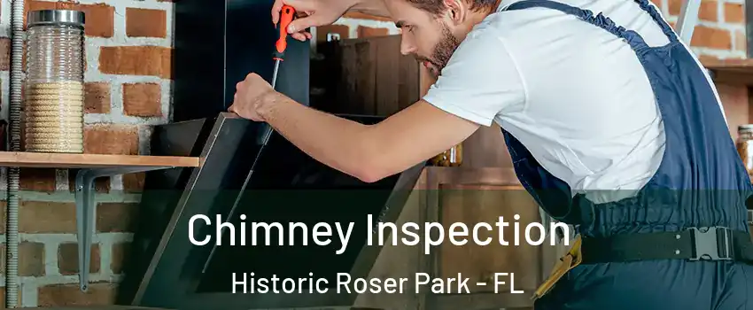 Chimney Inspection Historic Roser Park - FL