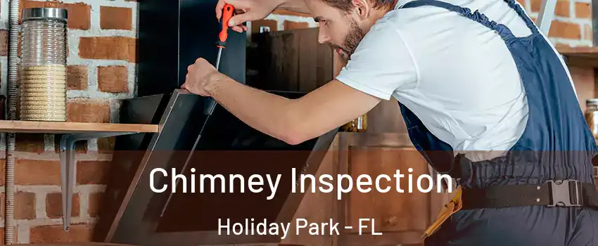 Chimney Inspection Holiday Park - FL