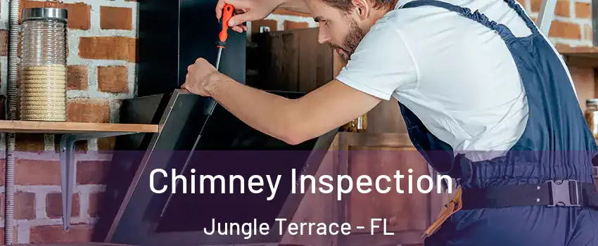 Chimney Inspection Jungle Terrace - FL