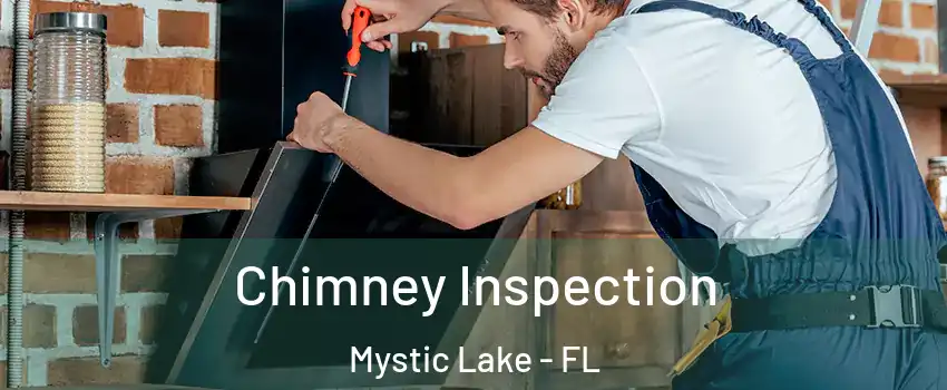 Chimney Inspection Mystic Lake - FL