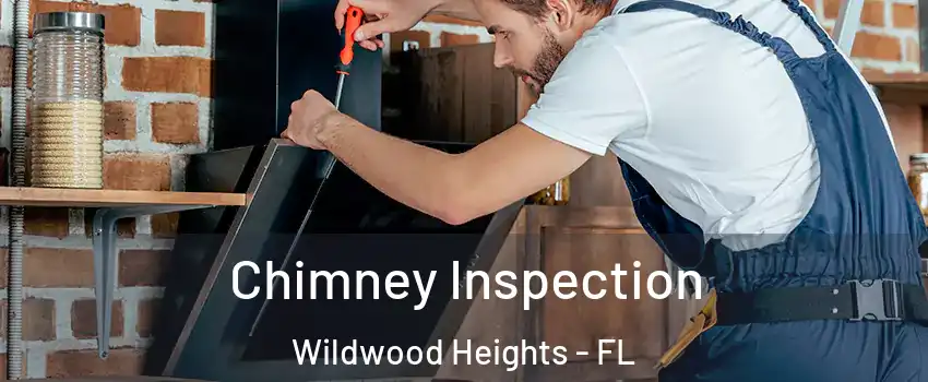 Chimney Inspection Wildwood Heights - FL