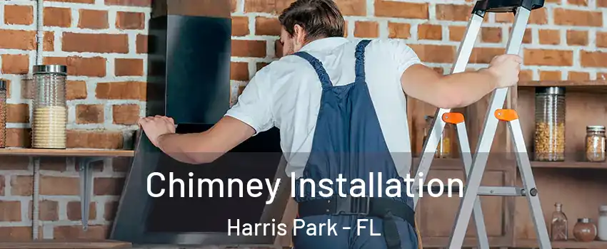 Chimney Installation Harris Park - FL