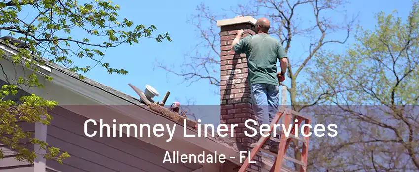 Chimney Liner Services Allendale - FL