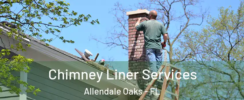 Chimney Liner Services Allendale Oaks - FL