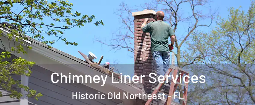 Chimney Liner Services Historic Old Northeast - FL