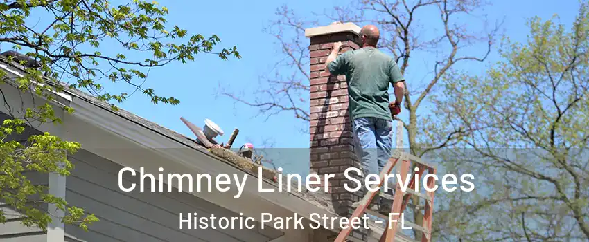 Chimney Liner Services Historic Park Street - FL