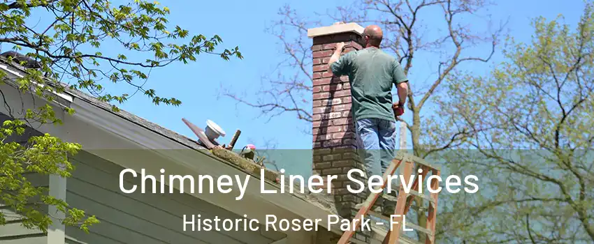 Chimney Liner Services Historic Roser Park - FL