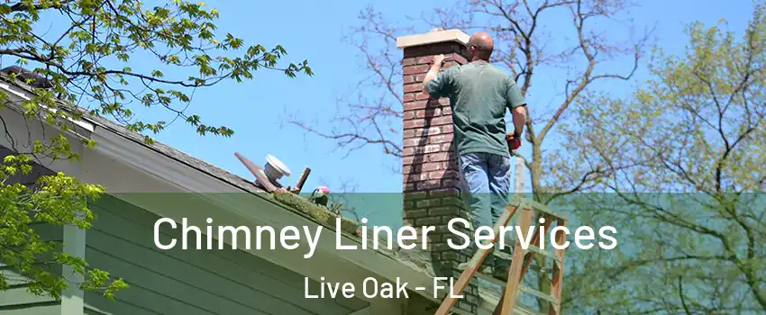 Chimney Liner Services Live Oak - FL