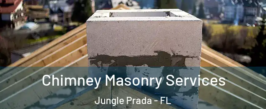 Chimney Masonry Services Jungle Prada - FL