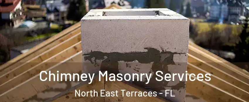 Chimney Masonry Services North East Terraces - FL