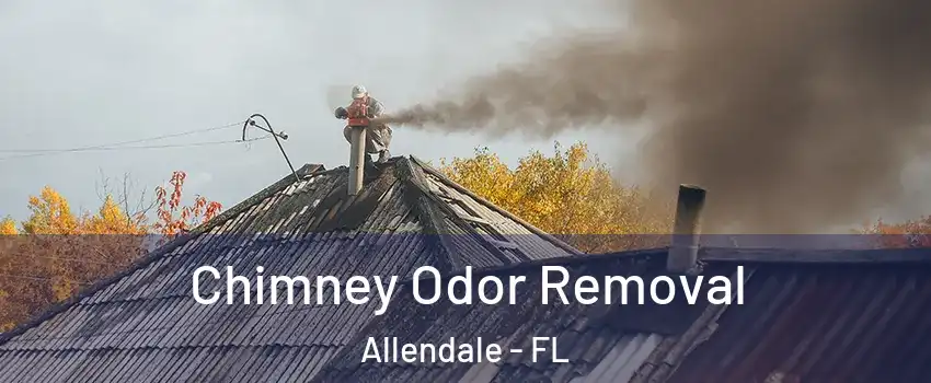 Chimney Odor Removal Allendale - FL