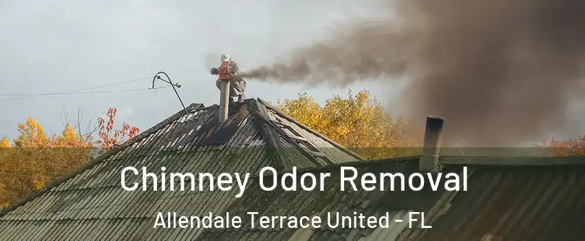 Chimney Odor Removal Allendale Terrace United - FL