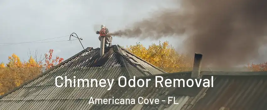 Chimney Odor Removal Americana Cove - FL