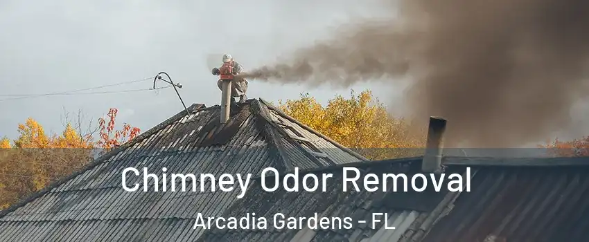 Chimney Odor Removal Arcadia Gardens - FL