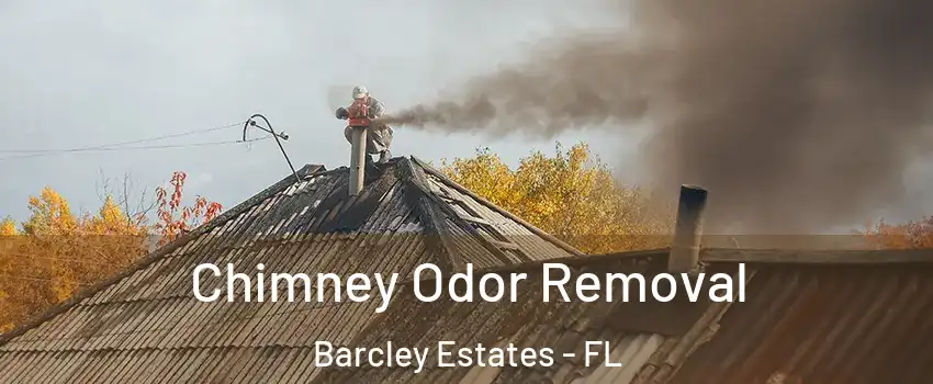 Chimney Odor Removal Barcley Estates - FL
