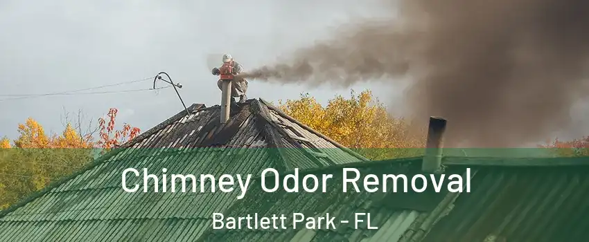 Chimney Odor Removal Bartlett Park - FL