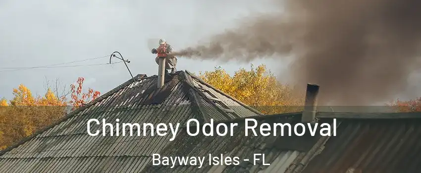 Chimney Odor Removal Bayway Isles - FL