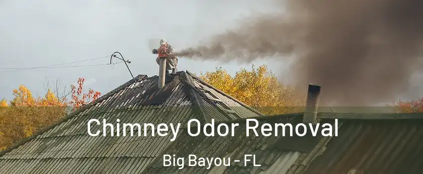 Chimney Odor Removal Big Bayou - FL