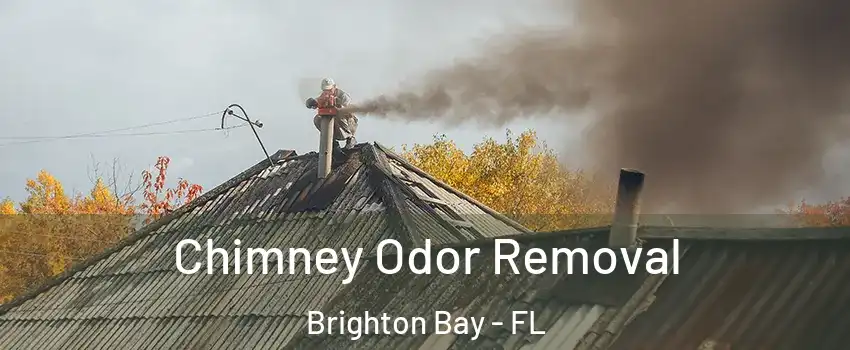 Chimney Odor Removal Brighton Bay - FL