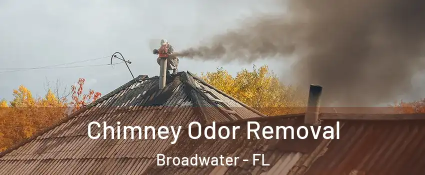 Chimney Odor Removal Broadwater - FL