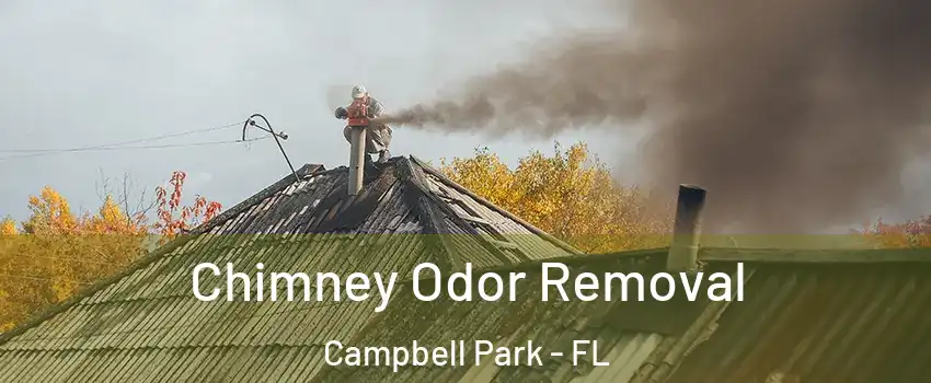 Chimney Odor Removal Campbell Park - FL