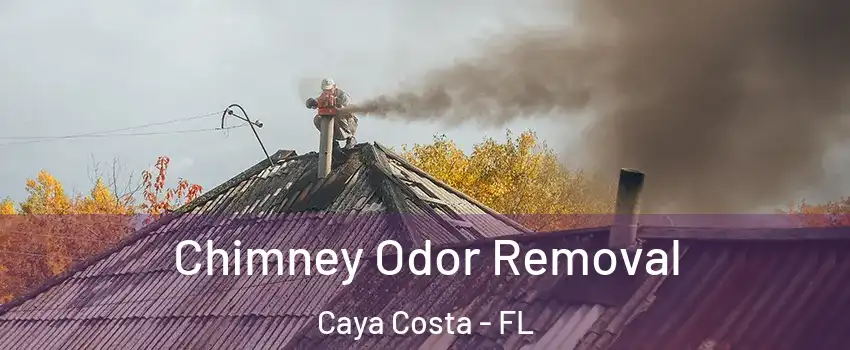 Chimney Odor Removal Caya Costa - FL