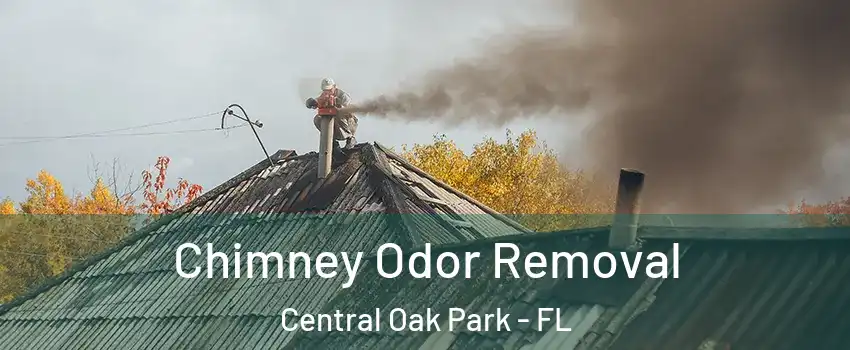 Chimney Odor Removal Central Oak Park - FL