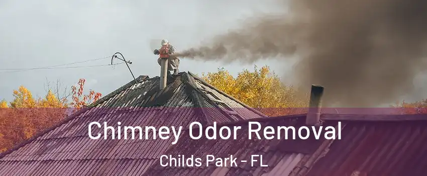 Chimney Odor Removal Childs Park - FL
