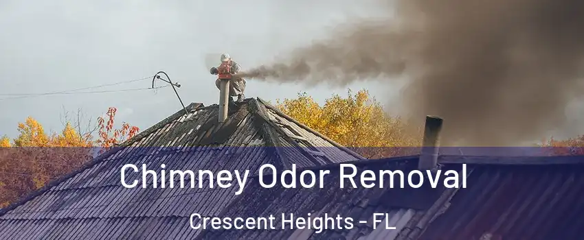 Chimney Odor Removal Crescent Heights - FL