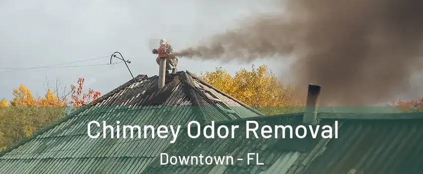 Chimney Odor Removal Downtown - FL