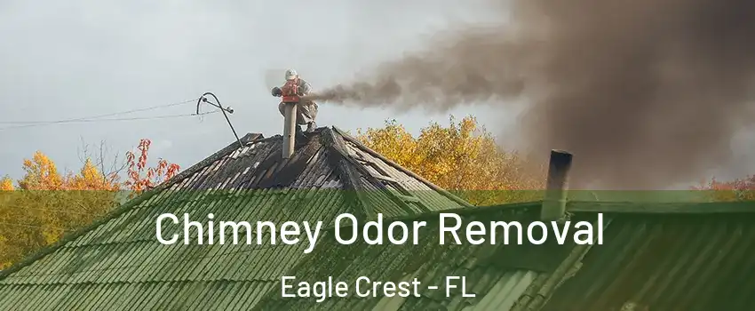 Chimney Odor Removal Eagle Crest - FL