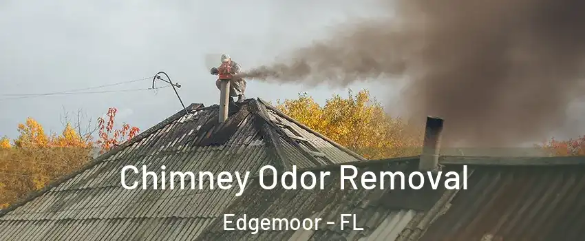 Chimney Odor Removal Edgemoor - FL