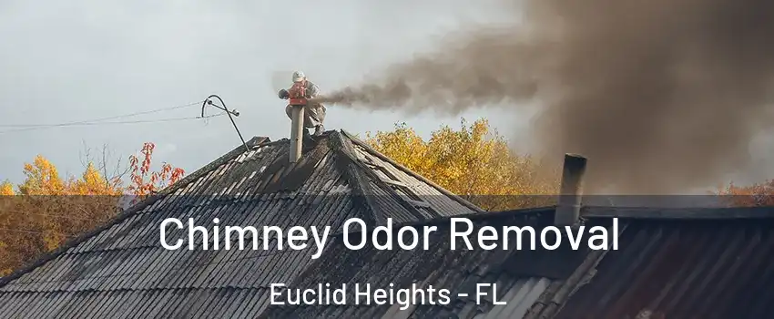 Chimney Odor Removal Euclid Heights - FL