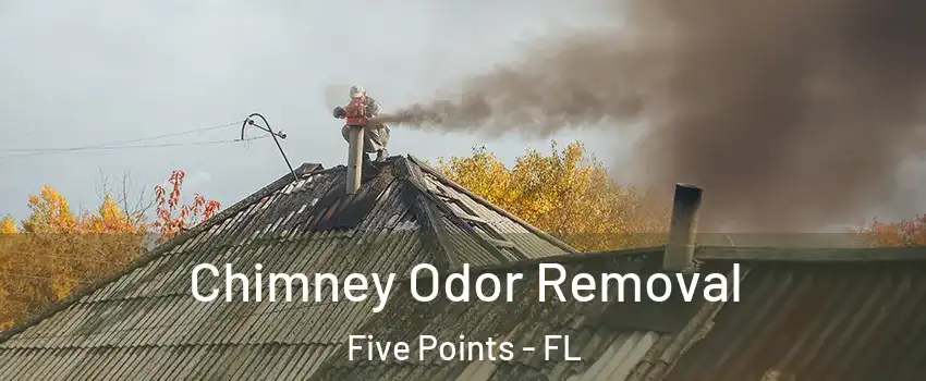 Chimney Odor Removal Five Points - FL