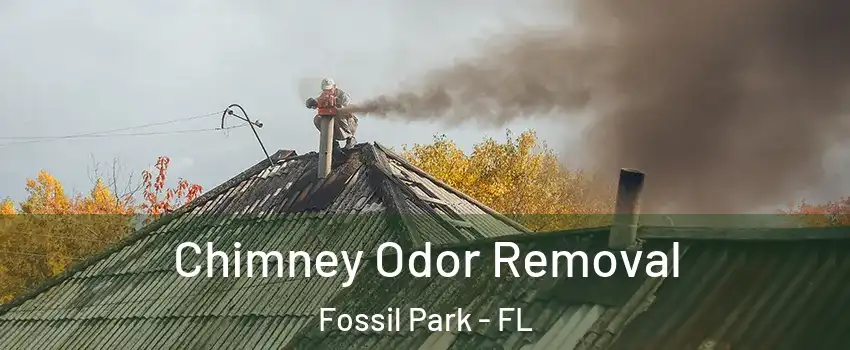 Chimney Odor Removal Fossil Park - FL