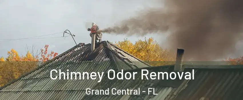Chimney Odor Removal Grand Central - FL