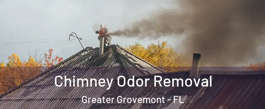 Chimney Odor Removal Greater Grovemont - FL