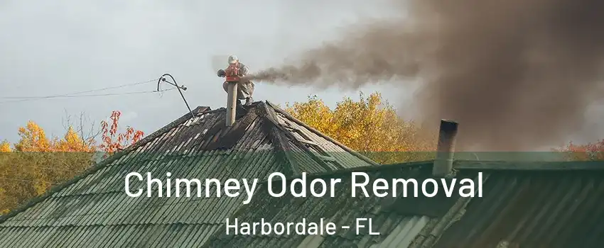 Chimney Odor Removal Harbordale - FL