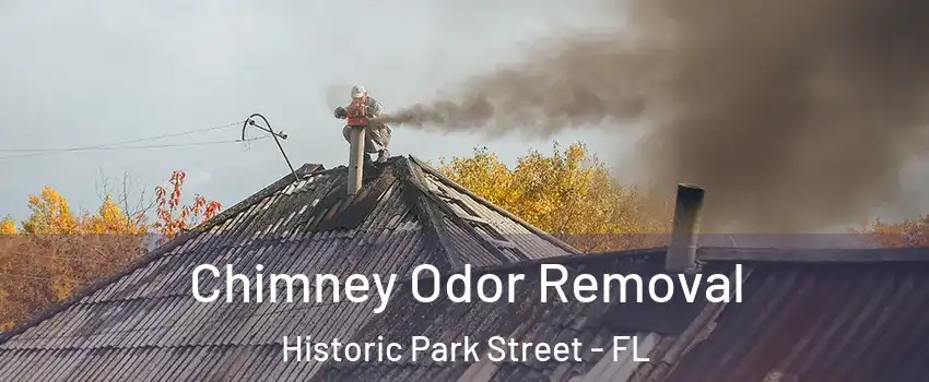 Chimney Odor Removal Historic Park Street - FL