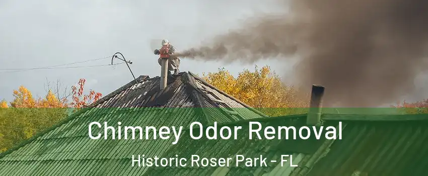 Chimney Odor Removal Historic Roser Park - FL