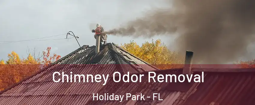 Chimney Odor Removal Holiday Park - FL