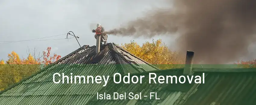 Chimney Odor Removal Isla Del Sol - FL