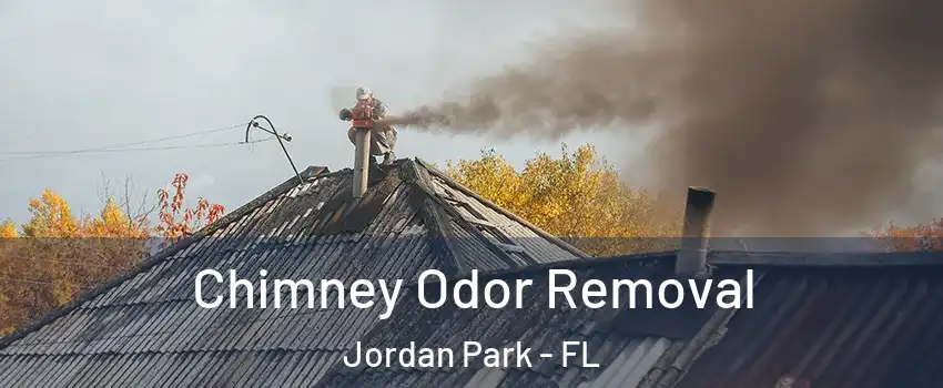 Chimney Odor Removal Jordan Park - FL