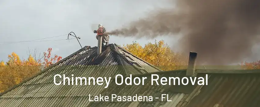 Chimney Odor Removal Lake Pasadena - FL