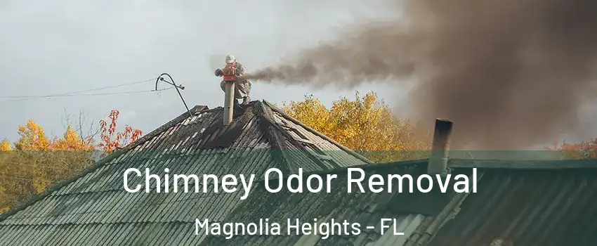 Chimney Odor Removal Magnolia Heights - FL