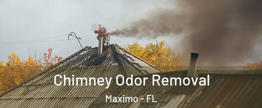 Chimney Odor Removal Maximo - FL