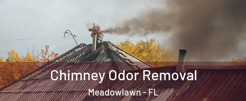 Chimney Odor Removal Meadowlawn - FL